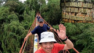 MT KITANGLAD RANGE AND CINCHONA FOREST RESERVE  Kaatuan Lantapan Bukidnon Philippines [upl. by Erminie]