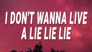 Lay Bankz  I dont wanna live a lie lie lie Tell Ur Girlfriend Lyrics [upl. by Tedda717]