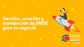 Gestión Creación y Mantención de BBDD para tu negocio [upl. by Akoyn]