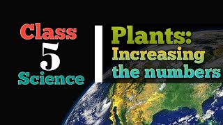 Class 5  Lesson 1 Plants Increasing the numbers [upl. by Myca]