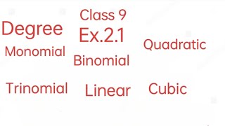 Polynomial Ex 21 Class 9 [upl. by Ardnossak]