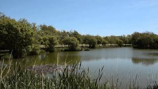 GWINEAR POOLS CUBERT NEWQUAY CORNWALL [upl. by Notled]