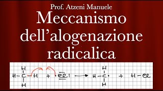 Chimica organica Meccanismo Alogenazione Radicalica L35 ManueleAtzeni ISCRIVITI [upl. by Oletta]