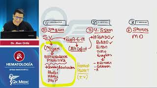 CIENCIAS BÁSICAS  Hematología Fisiología I [upl. by Ingvar]