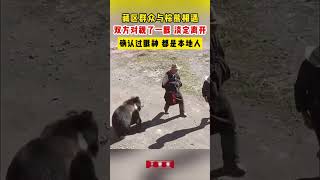 藏區群眾與棕熊相遇，雙方對視了一眼淡定離開。 “確認過眼神，都是本地人。” [upl. by Gabel]