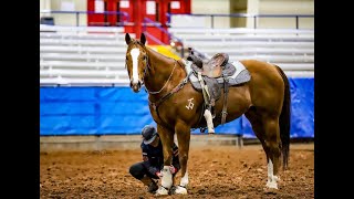 SOLD to Louisiana Rodeo winner TX 1D2D Top 9 of 1878 2012 JB Proud N Famous g 45k [upl. by Harbird479]