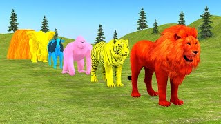 Long Slide Game With Elephant Gorilla Buffalo Hippopotamus Tiger  3d Animal Game  Funny 3d Animals [upl. by Inaluiak]