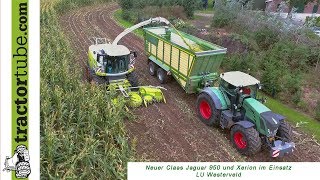 Neuer Claas Jaguar 950 und Claas Xerion bei der Maisernte 2017 im Einsatz  LU Westerveld [upl. by Malaspina]