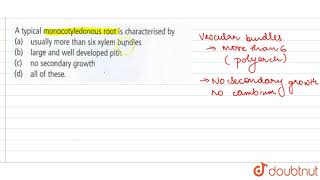 A typical monocotyledonous root is characterised by [upl. by Scevor756]