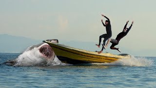 Shark Attack on Fishing Boat 5  A Great White Shark Attack short Movie [upl. by Auhsot449]