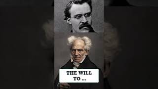 Nietzsche Vs Schopenhauer  Whos Right In This Manner [upl. by Kern]