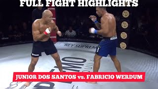 Junior Dos Santos vs Fabricio Werdum  FULL FIGHT HIGHLIGHTS💪🔥 [upl. by Dedra60]