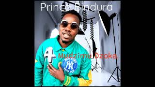 PRINCO BINDURA  MUDZIMU DZOKA [upl. by Mafala]