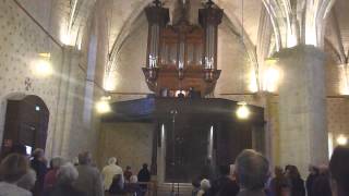 INAUGURATION ORGUE DE SAINT GIRONS MONEIN [upl. by Siryt]