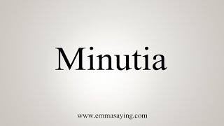 How To Say Minutia [upl. by Avilo909]