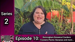 S2 E10 Freyas Tropical Garden Birmingham Botanical Gardens Yvonnes Plants Bananas and more [upl. by Madancy343]