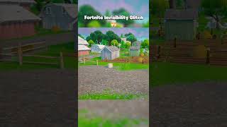 How To Go Invisible In Fortnite 😱  Fortnite Invisibility Glitch 🤯 shorts [upl. by Ahtnamas717]