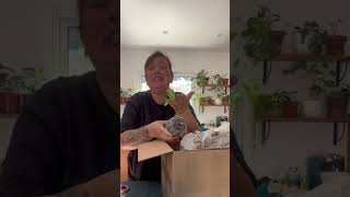 unboxing de la boutique  les jardins de marius plantlover plant plants plante plantaddict [upl. by Eybba642]