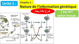 Nature de linformation génétique svt 2 bac svt biof شرح بالداريجة [upl. by Nnaoj]