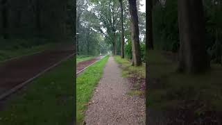 Exploring the parks of Tilburg part III [upl. by Odlauso]