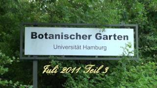 Botanischer Garten Teil 34 Hamburg Juli 2011 [upl. by Colbye588]