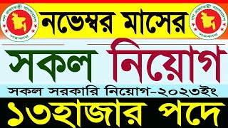 ১৩হাজার পদে নভেম্বর মাসের সকল সরকারি নিয়োগ 2023সরকারি চাকরির নিয়োগgovernment jobSR Job Life [upl. by Odille]