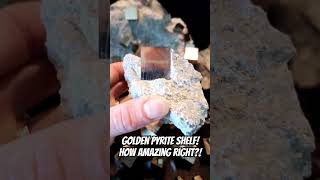 Golden pyrite crystals on the display shelf How amazing crystals minerals geode story viral [upl. by Charry]