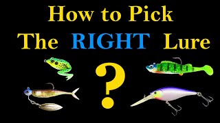 How to Pick the Right Fishing Lure Best Way to Catch a Fish [upl. by Ralph]