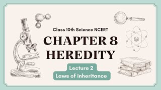 Heredity 02  Mendel’s laws of inheritance  Chapter 8  Class 10th Science NCERT  Session 202324 [upl. by Melleta]