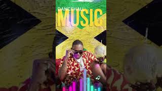 2024 DANCEHALL NEW MIX dancehall newdancehall [upl. by Padget]