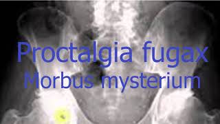 Proctalgia Fugax [upl. by Derriey]