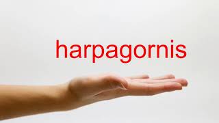 How to Pronounce harpagornis  American English [upl. by Jules]