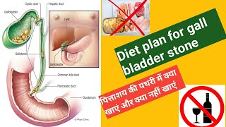 gall bladder stone diet plan पित्ताशय की पथरी में क्या खाएं और क्या नहीं खाएं diet dietplan stone [upl. by Lanaj]