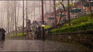 Mountain Rain amp Thunderstorm Sleep Sounds  Ambient Noise For Sleep amp Meditation [upl. by Enilekaj]