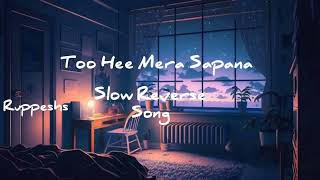 Too Hee Mera Sapna slow Reverse Hindi Song ❤️ [upl. by Zachery]