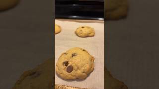 The BEST chocolate chip cookies farmlife cookies easyrecipe [upl. by Kreegar]