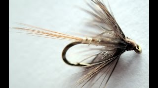 BH Emerger [upl. by Kevina]