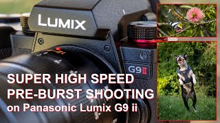 Panasonic Lumix G9 Mark ii  Shooting in SUPER HIGH SPEED PREBURST MODE [upl. by Stauffer439]