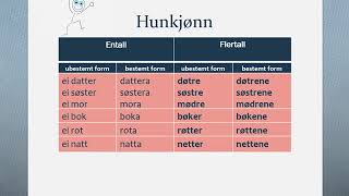 Substantiv uregelrett bøying norwegian basic learner [upl. by Adnilem]