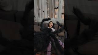 Eylülün korkunç rüyası 🙄🫣😬😱🕸🕷 shorts eylülündünyası funkidsvideo [upl. by Lowenstein]