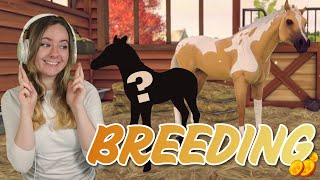 BREEDING MILLION GOLD HORSES  Rival Stars Horse Racing  Pinehaven [upl. by Notnad]