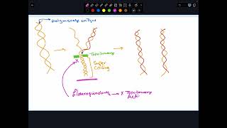 Ch40 Fluoroquinolones part I [upl. by Norej]