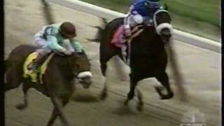 Birdstone rises to prominence with 2003 Champagne victory at Belmont [upl. by Otilrac]