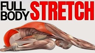 The Best Stretching Exercises [upl. by Salis]