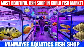 Most Beautiful Fish Shop In Kurla Fish Market  Vanmayee Aquatics Fish Shop [upl. by Anuqahs139]