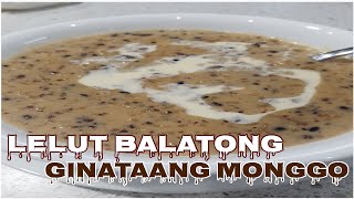 LELUT BALATONG LUTONG MANYAMAN  GINATAANG MONGGO  LELOT BALATONG RECIPE lelotbalatong lelut [upl. by Suollecram]