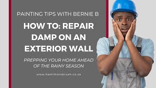 Repairing damp on an exterior wall [upl. by Neerahs]