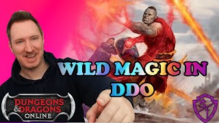 WILD MAGE IS THE NEXT ARCHETYPE  Myth Drannor Expansion Preview [upl. by Katerine]