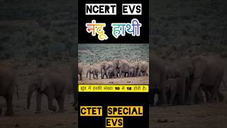 🔥 जब खुद पर भरोसा हो तो🍂💫💯🔥success motivation shorts viral shortfeed ytshort [upl. by Affay429]