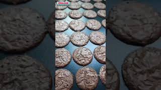 Awaken  Tuile Biscuit Machine TBM to make Brownies Cookies [upl. by Ehsiom]